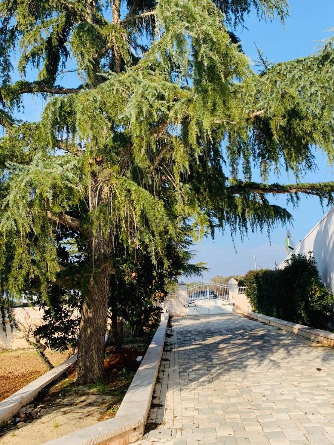 Trullo Labellavita Путиньяно Экстерьер фото